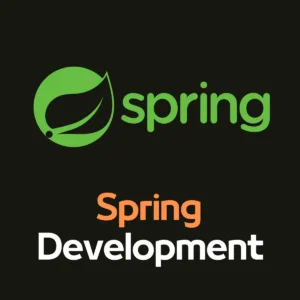 Affordable Spring application development companies in India