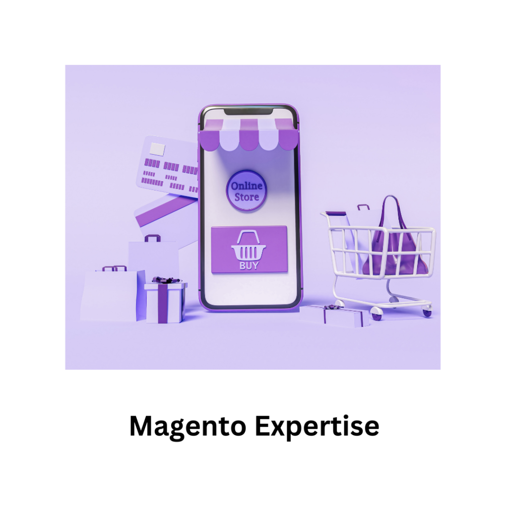 magento expertise