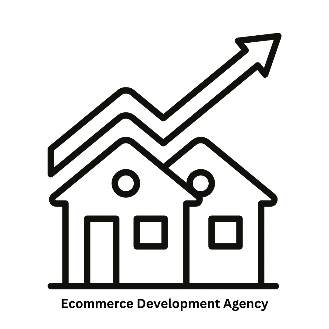 Premier Ecommerce Development Agency