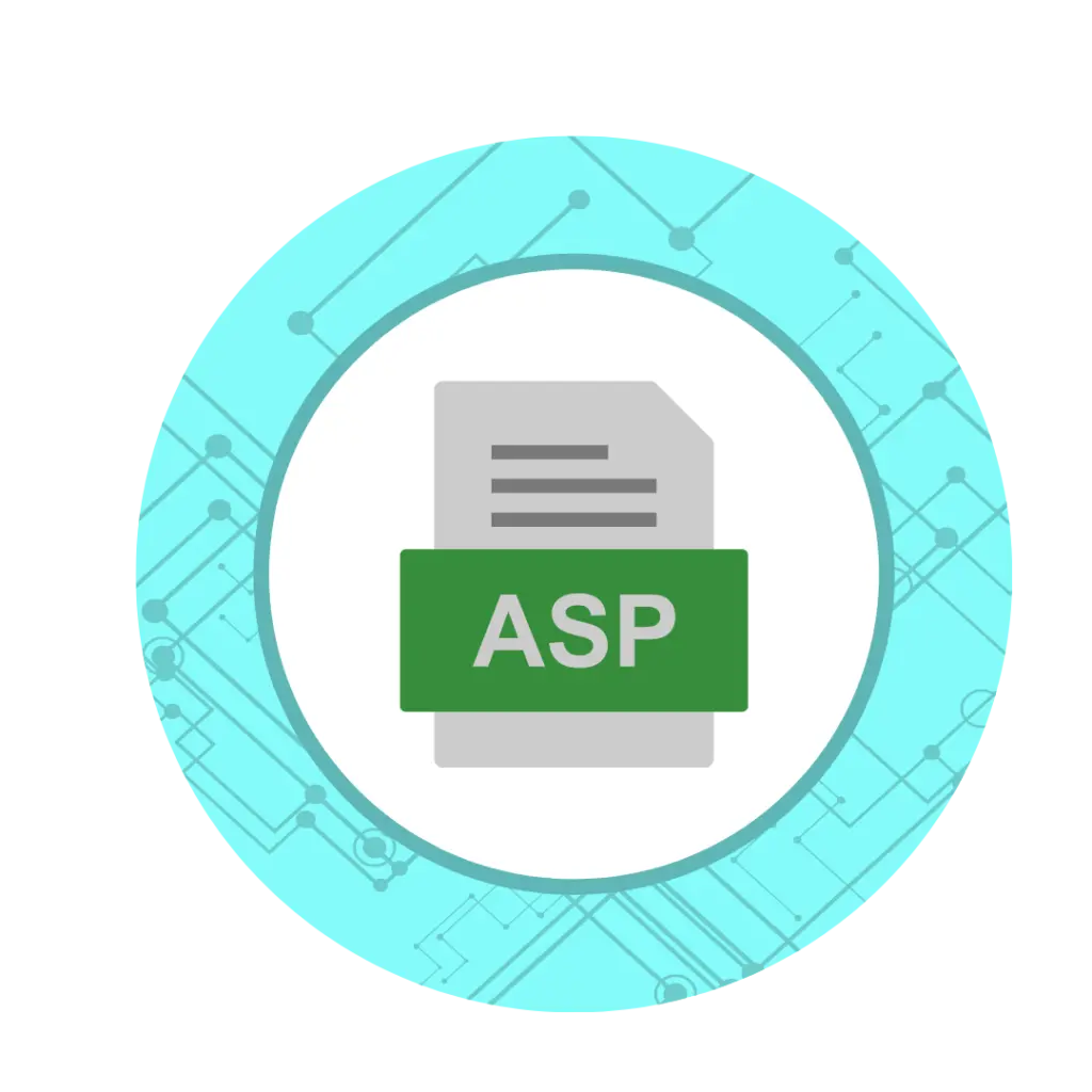 Expert ASP.NET Development & IT Solutions by Associative Pune