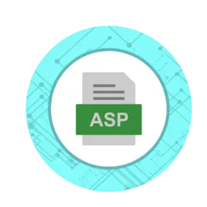 Expert ASP.NET Development & IT Solutions by Associative Pune