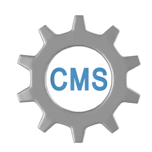 Top CMS Development Services in Pune | Associative