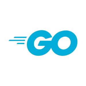 Expert Golang Development Services | Scalable Backend Solutions by Associative