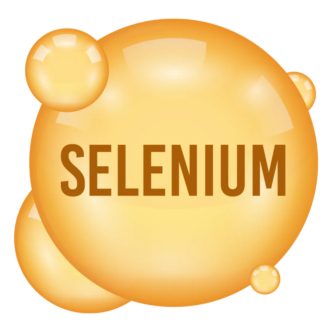 Top White Label Selenium Automation Testing Services | Associative Pune